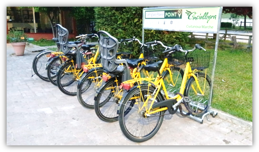 Noleggio bici Cinciallegra